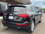 Used 2013 Audi Q5 2.0T Premium Plus w/ Premium Plus Pkg image 3
