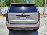 New 2025 Cadillac Escalade Sport Platinum image 4