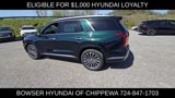 New 2025 Hyundai Palisade Calligraphy image 4