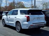 New 2025 Hyundai Palisade Calligraphy image 4