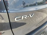 Used 2023 Honda CR-V LX image 4