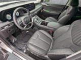 New 2025 Hyundai Palisade Limited image 3