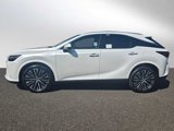 New 2025 Lexus RX 350 Premium Plus image 2
