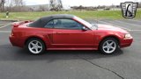 Used 2001 Ford Mustang Cobra image 6