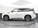 New 2025 INFINITI QX80 Sensory image 4