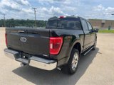 Certified 2022 Ford F150 XLT w/ Equipment Group 302A High image 4