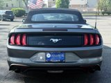Used 2022 Ford Mustang Premium w/ Equipment Group 201A image 3