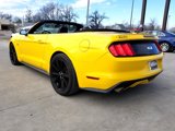 Used 2016 Ford Mustang GT Premium w/ Equipment Group 401A image 4