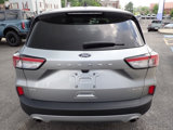 Certified 2022 Ford Escape SE w/ Cold Weather Package image 4