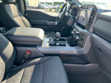 New 2025 Ford F150 XLT image 6
