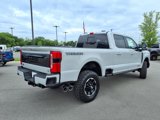 New 2025 Ford F250 Platinum image 3