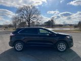 Used 2024 Ford Edge SEL image 6