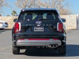 New 2025 Hyundai Palisade Calligraphy image 5