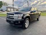 Used 2019 Ford F150 Platinum w/ Equipment Group 701A Luxury image 3
