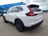 New 2026 Honda CR-V EX-L image 4