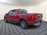 Certified 2022 Ford F150 XLT w/ Equipment Group 302A High image 4
