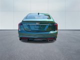 New 2026 Cadillac CT5 Sport image 4
