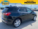 Used 2020 Chevrolet Equinox Premier image 6