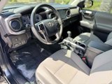 Used 2023 Toyota Tacoma SR5 w/ SX Package image 3