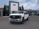 New 2025 Ford F250 Platinum image 2