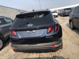 Used 2024 Hyundai Tucson SEL image 5