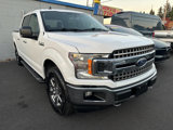 Used 2020 Ford F150 XLT w/ Equipment Group 302A Luxury image 3