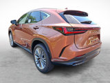 New 2025 Lexus NX 350 AWD w/ Premium Package image 3
