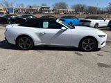 Used 2024 Ford Mustang Premium image 4