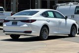 New 2025 Lexus ES 300h w/ Luxury Package image 6
