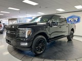 New 2025 Ford F150 Platinum image 4