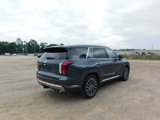 New 2025 Hyundai Palisade Calligraphy image 5