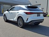 Used 2025 Lexus RX 450h AWD w/ Luxury Package image 4