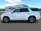New 2025 Hyundai Palisade Calligraphy image 3