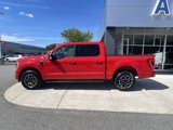 Certified 2022 Ford F150 XLT w/ Equipment Group 302A High image 5