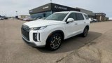 New 2025 Hyundai Palisade SEL image 4