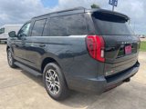 New 2025 Ford Expedition Active image 5