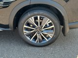 New 2026 INFINITI QX60 Luxe w/ Cargo Package image 5