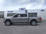 New 2025 Ford F150 XLT w/ Equipment Group 301A Standard image 3