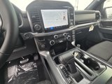 New 2025 Ford F150 XLT w/ Equipment Group 302A MID image 6