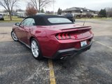 New 2025 Ford Mustang GT Premium image 6