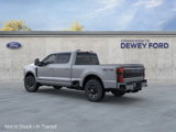 New 2025 Ford F250 Platinum image 5