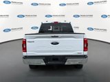 Certified 2022 Ford F150 XLT w/ Equipment Group 302A High image 3