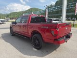New 2025 Ford F150 STX w/ STX Black Appearance Package image 5