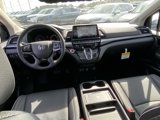 New 2025 Honda Odyssey Elite image 4