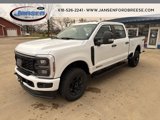 New 2025 Ford F350 XL image 3