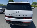 New 2025 Hyundai Santa Fe Calligraphy image 4