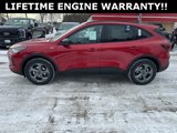 New 2025 Ford Escape ST-Line w/ Cold Weather Package image 5