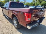 Certified 2017 Ford F150 XLT w/ Equipment Group 302A Luxury image 3