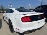Used 2019 Ford Mustang GT Premium w/ Equipment Group 401A image 5