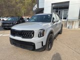 New 2025 Kia Telluride EX X-Line image 3